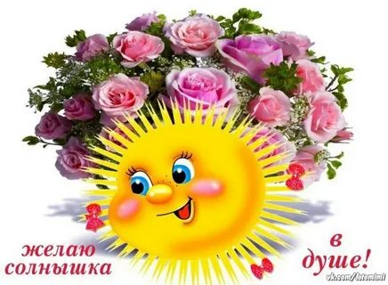 Доброго дня солнышка в душе