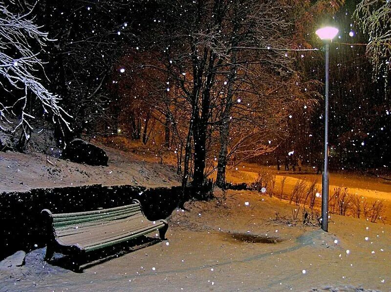 Вечер падающий снег. Зима ночь. Ночь в парке зимой. Зима в парке ночью. Парк зимой ночью.