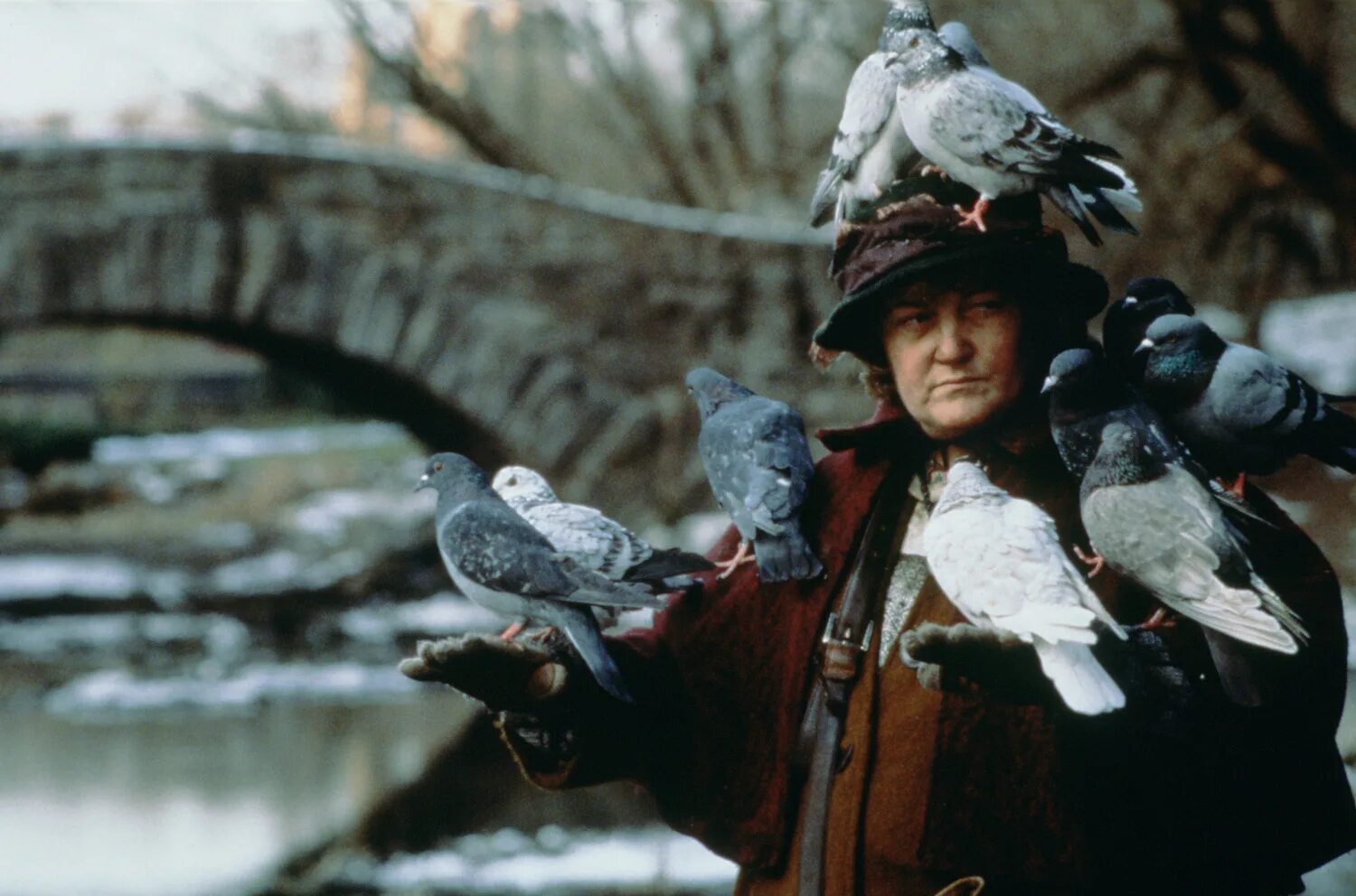 один дома 2 голуби. один дома 2 дама с голубями. один дома кормила голубей. один дома 2 женщина в парке. один дома 2 затерянный в нью-йорке женщина с голубями.