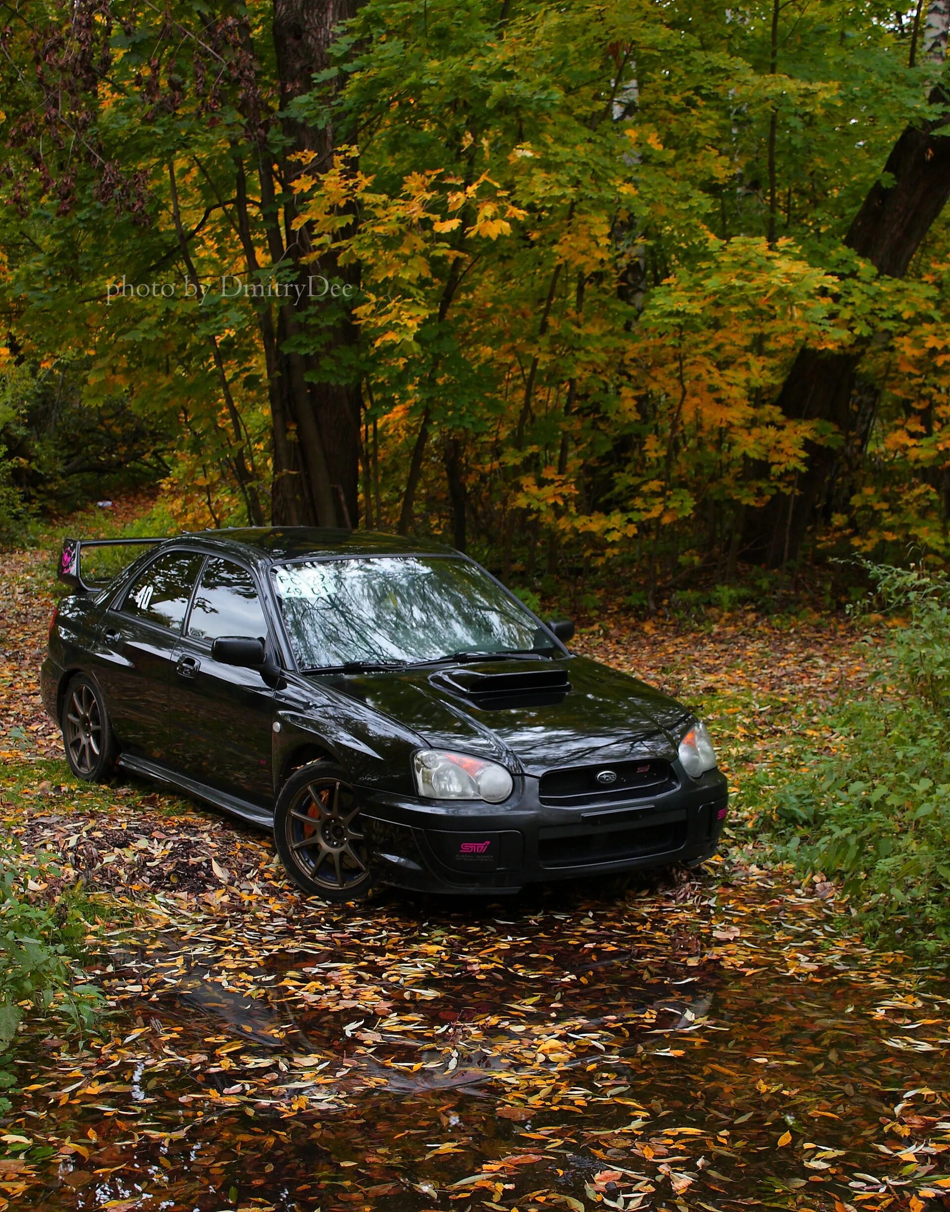 Машина в лесу ауди. Машина в лесу видео. Фольксваген тигуан в лесу. Машина в лесу. Машина в лесу видео.
