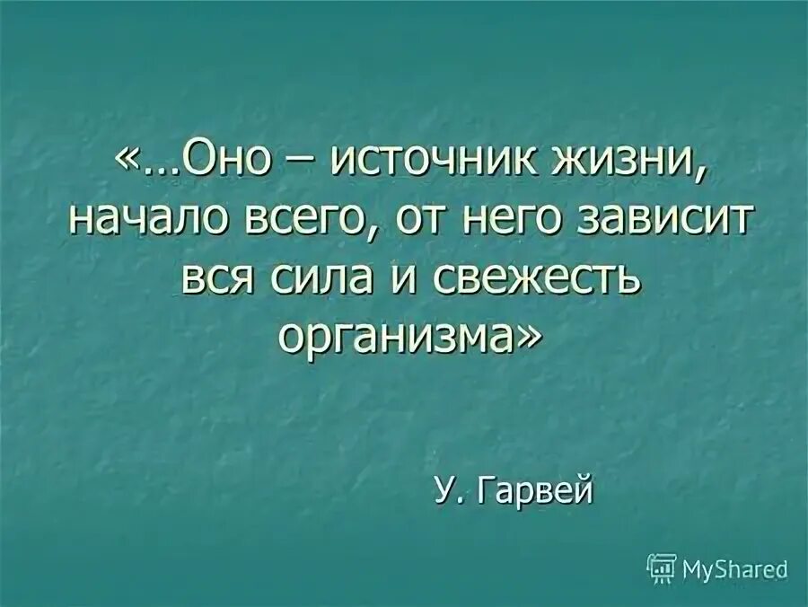 спа ай резорт нячанг. источник im. источник im. источник im. источник воды.
