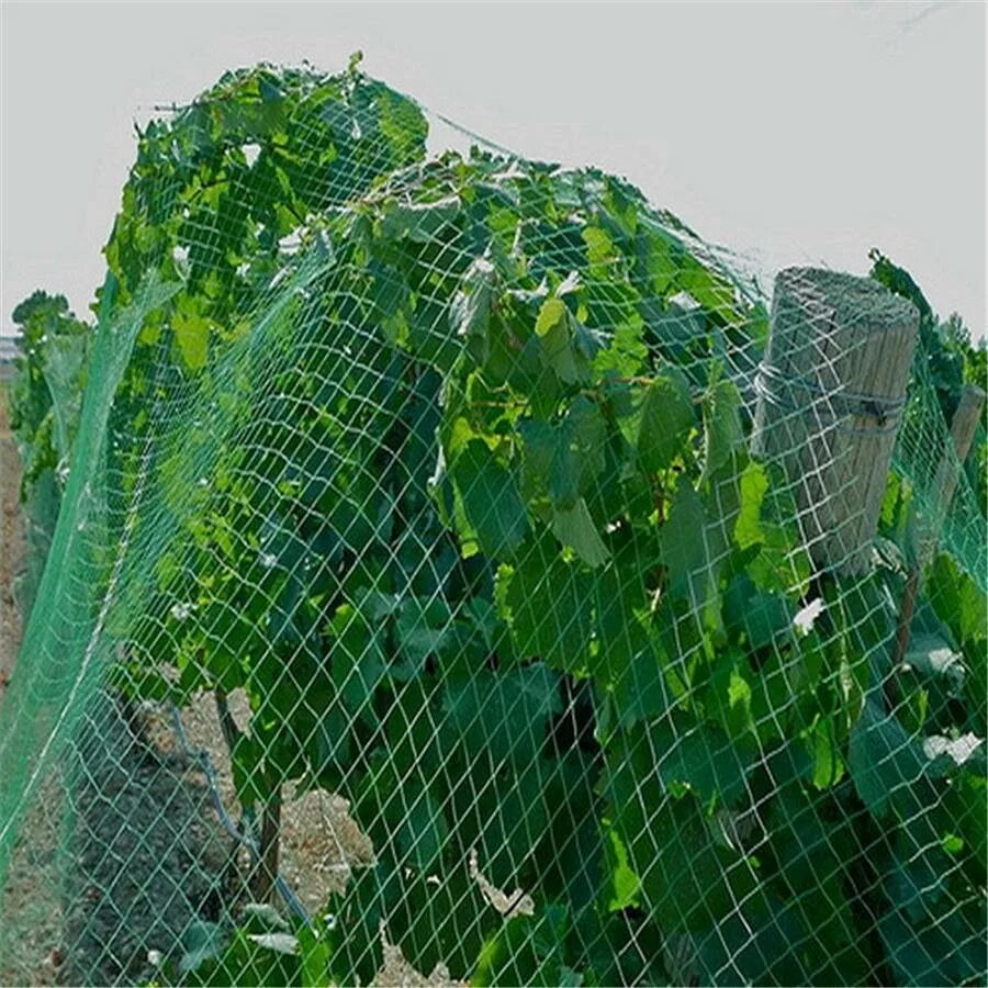 Сетка от птиц для кустов. Сетка от птиц 4х5м. защитная сетка на деревья от птиц. огуречная сетка. сетка для кустов от птиц.