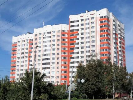 Династия зуевых ул лескова 3 орел