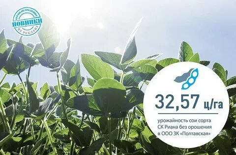 Мировой лидер по выращиванию сои