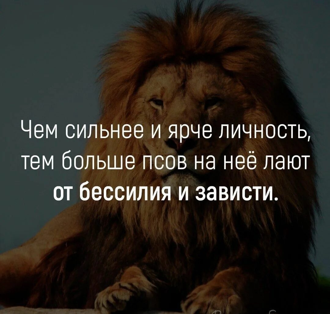 Продолжите фразу льва. Фразы про львов. высказывания про льва. высказывания про львов. лев цитаты.