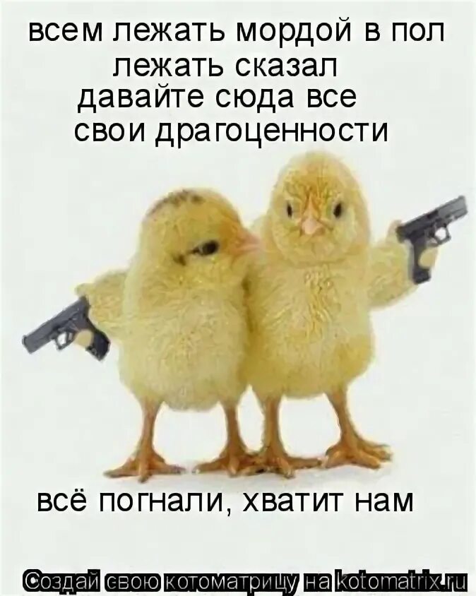 Всем лежать мордой в пол брат. Всем лежать мордой в пол брат. Оружие на пол руки за голову всем лежать мордой в пол. Всемлежатьмордойвпол!. Всемлежатьмордойвпол!.