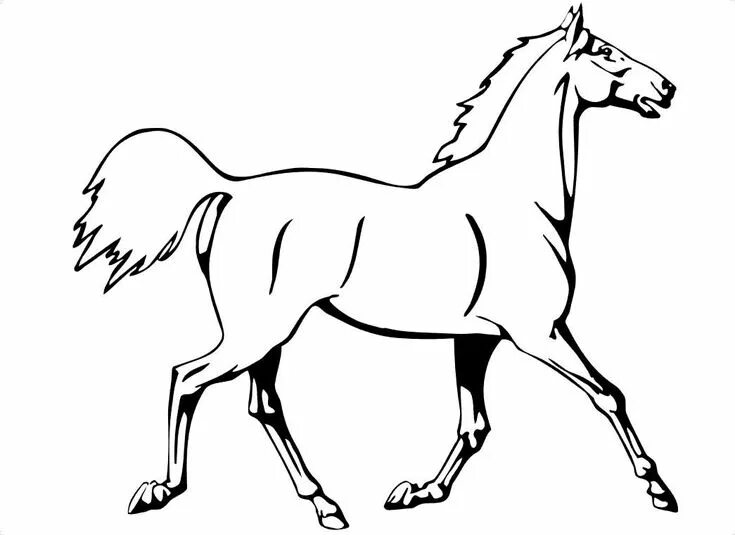 Лошадь раскраска для детей распечатать Horse coloring books, Horse coloring pages, Horse coloring