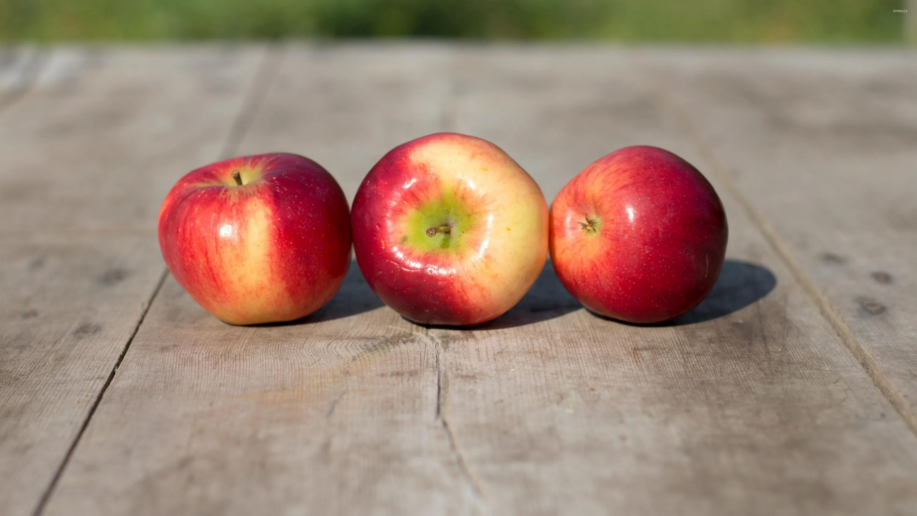 There some apples on the table. Яблоки обои. яблоки он. яблоки н столе. apple table.