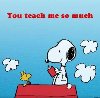 Snoopy перевод