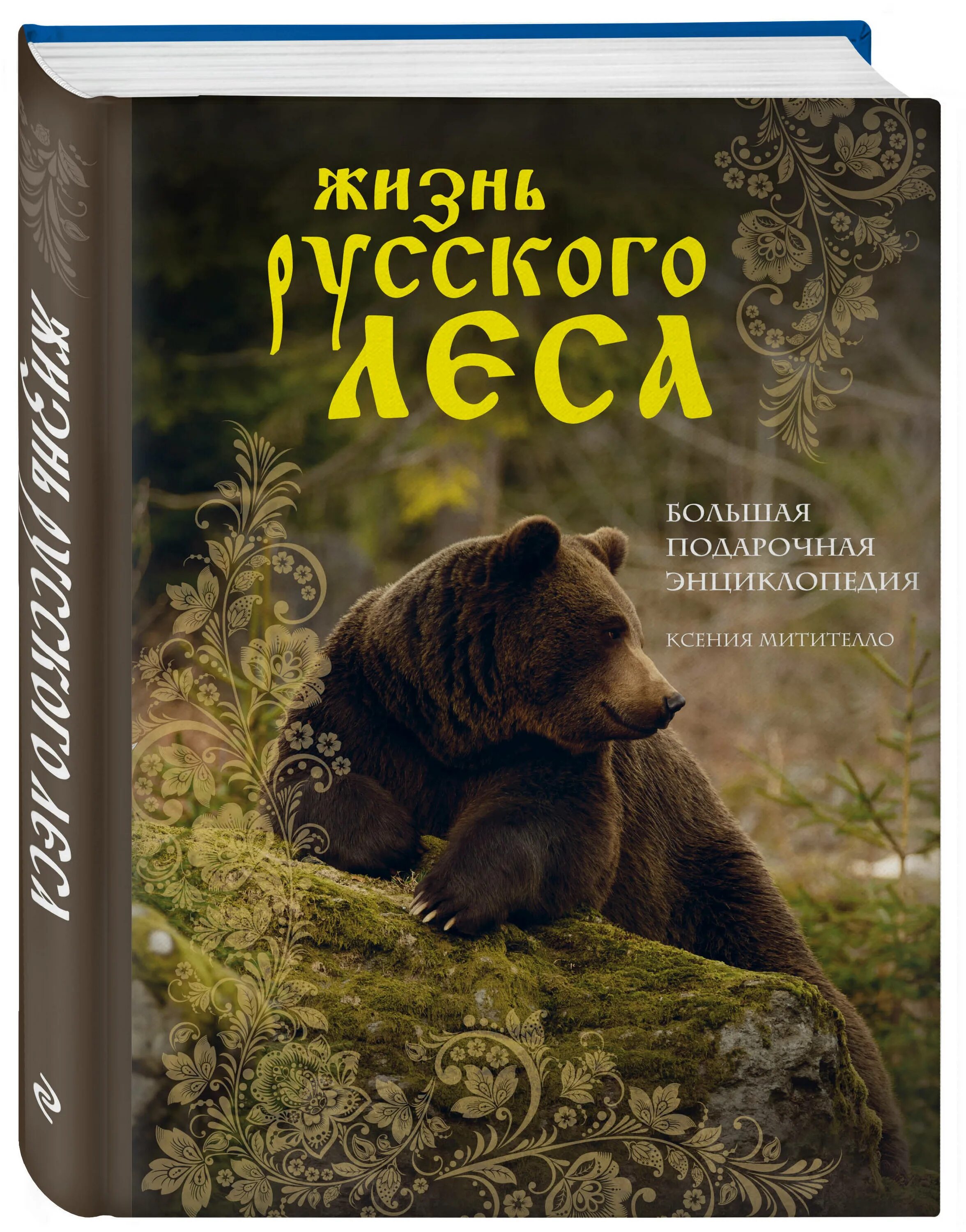 Жизнь русского леса большая подарочная энциклопедия. Книга в лесу. Книга леса.