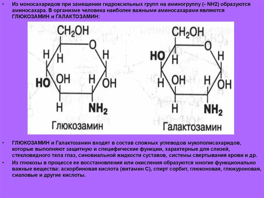 Замещение гидроксильной группы. Галактозамин и глюкозамин. Аминосахара (глюкозамин, галактозамин). Глюкозамин и глюкуроновая кислота\. Аминосахара и их производные выполняют функцию.