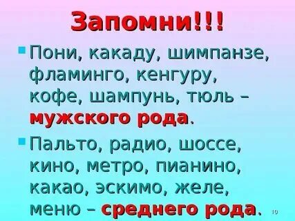 Шимпанзе род слова существительные