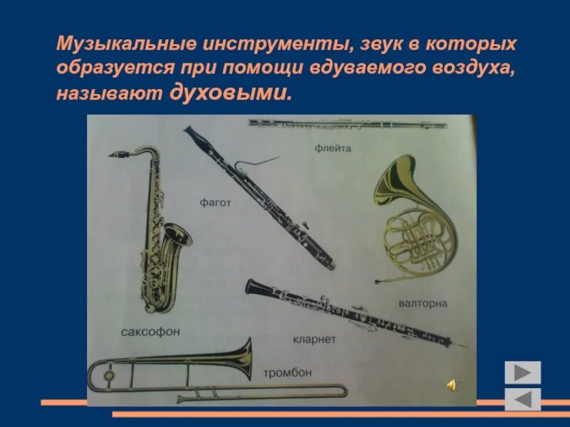 Какой инструмент не музыкальный звук. Инструменты родственные органу. Инструменты и их звуки. Инструменты которые издают звук с помощью воздуха. Инструменты родственники органа.