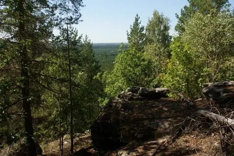 Бор самарская область