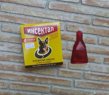 Инсектал применение