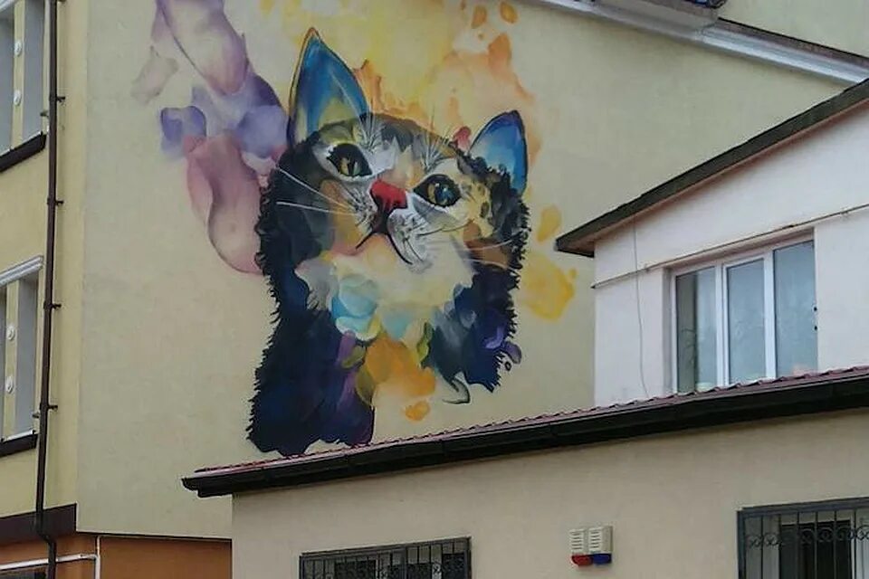 кот на стене дома. 3d рисунки на стенах. кот стрит арт. кот на стене дома. зеленоградск кот.