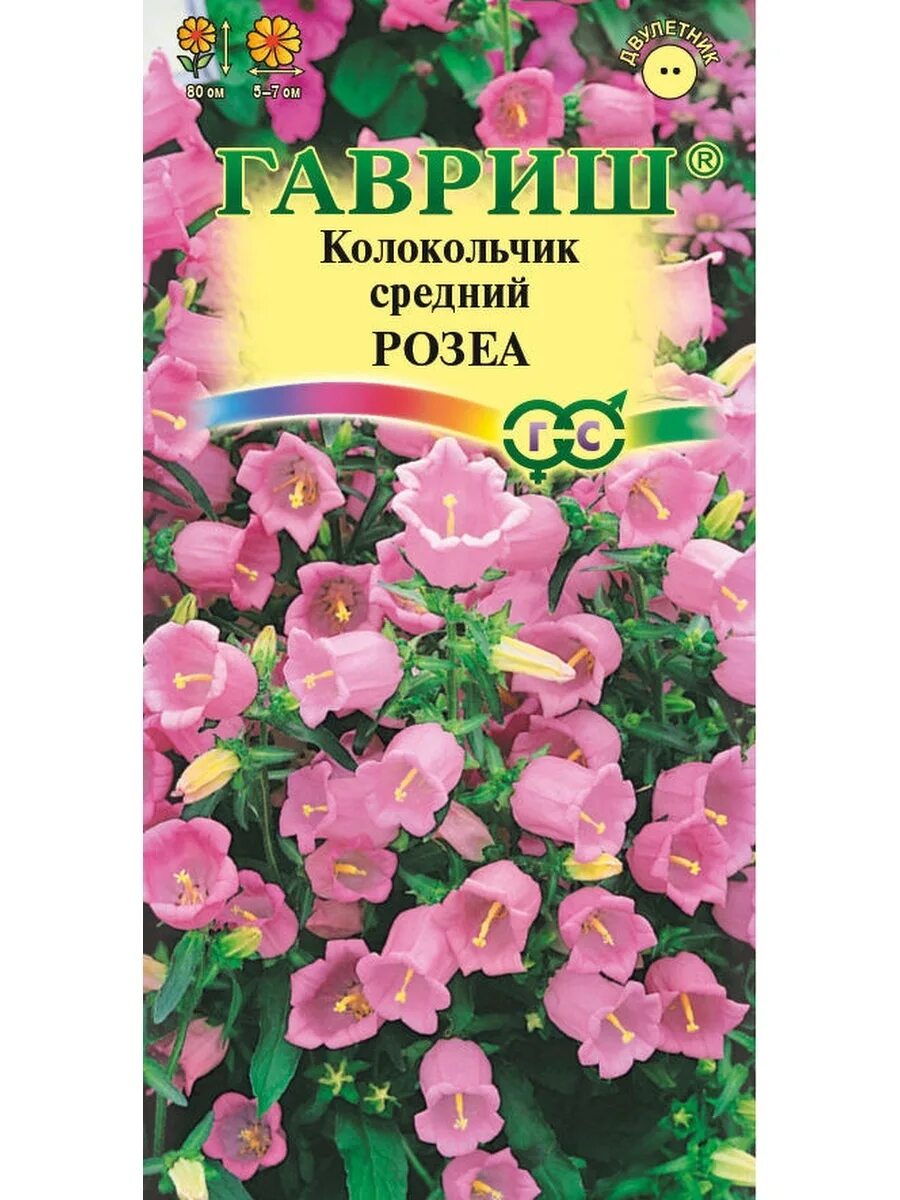 Средний ц. Колокольчик средний розеа. колокольчик средний розеа гавриш. кампанула семена. кампанула семена сибири.