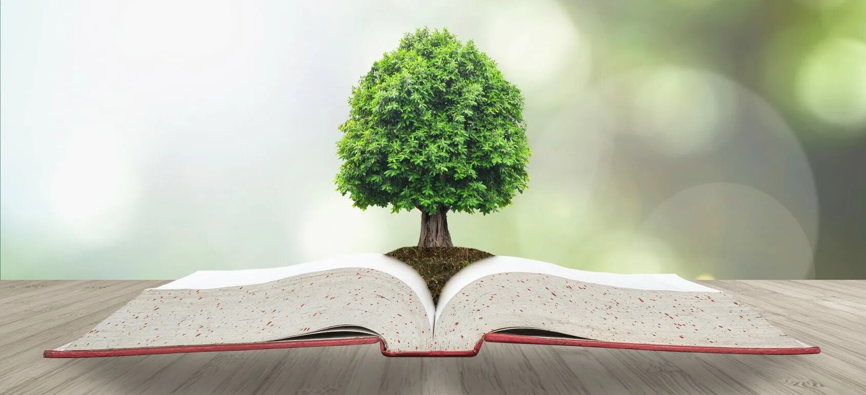 Дерево знаний. Книжное дерево. Дерево с книгами. Книга дерево знаний.