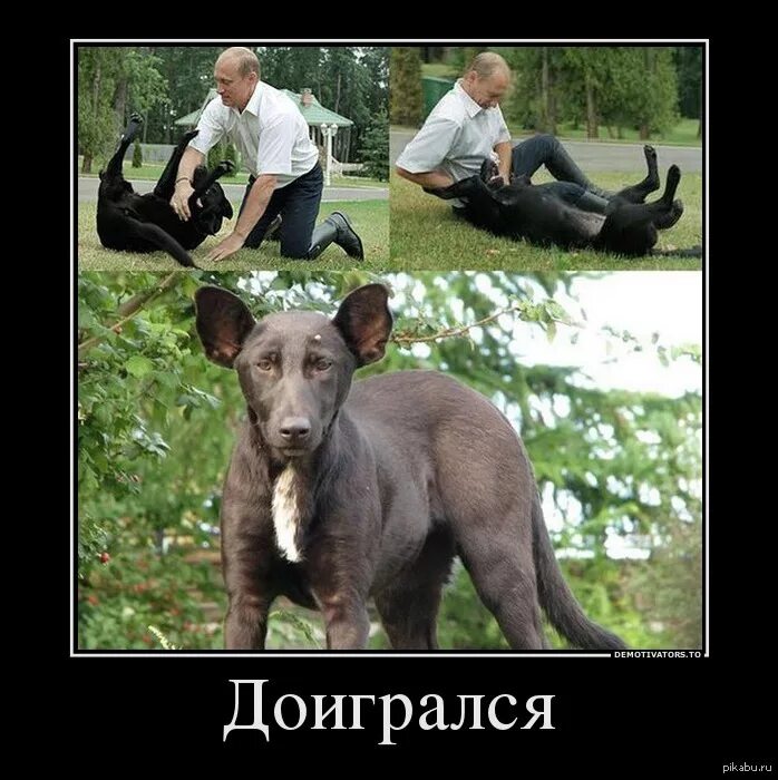 Похоже он все же не то