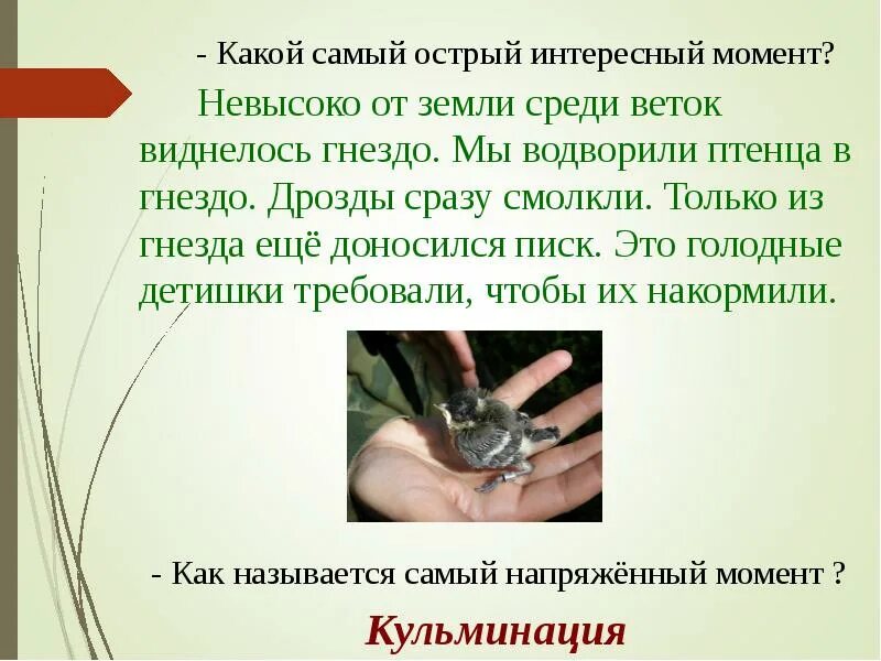 Помощь дроздам. Изложение помощь птенцу 4 класс. нужно сделать изложение по теме невысоко от земли среди веток.