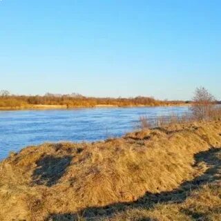 Погода именицы