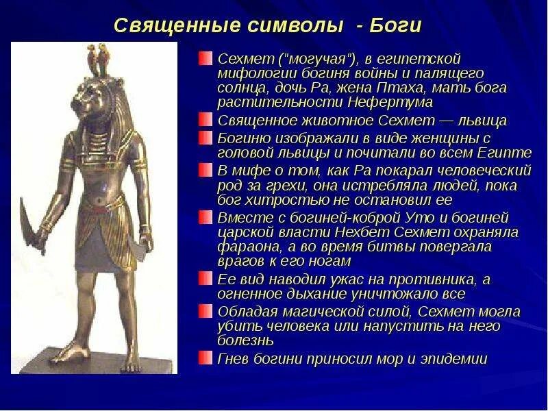 Вид бог чего. Символы египетской культуры. боги и священные животные в египте. символы египетских богов.