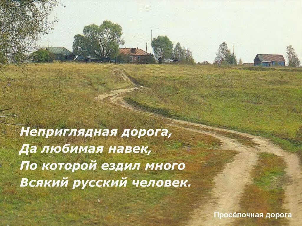 Мелколесье степь и дали