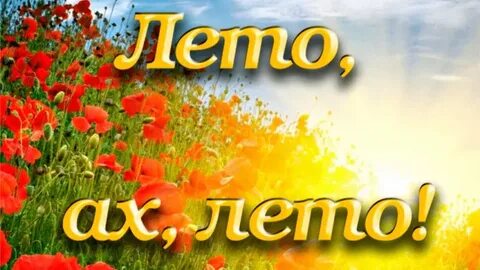 Я так хочу чтобы лето припев