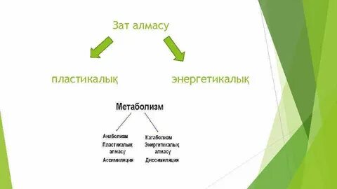 Метаболизм түрлері