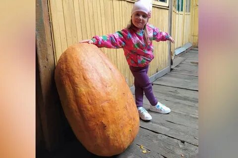 Тыква весит