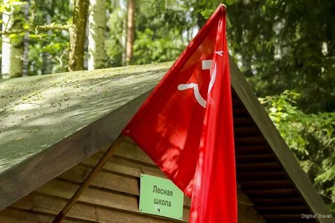 Партизанский лагерь пионерская ул 5 коломна