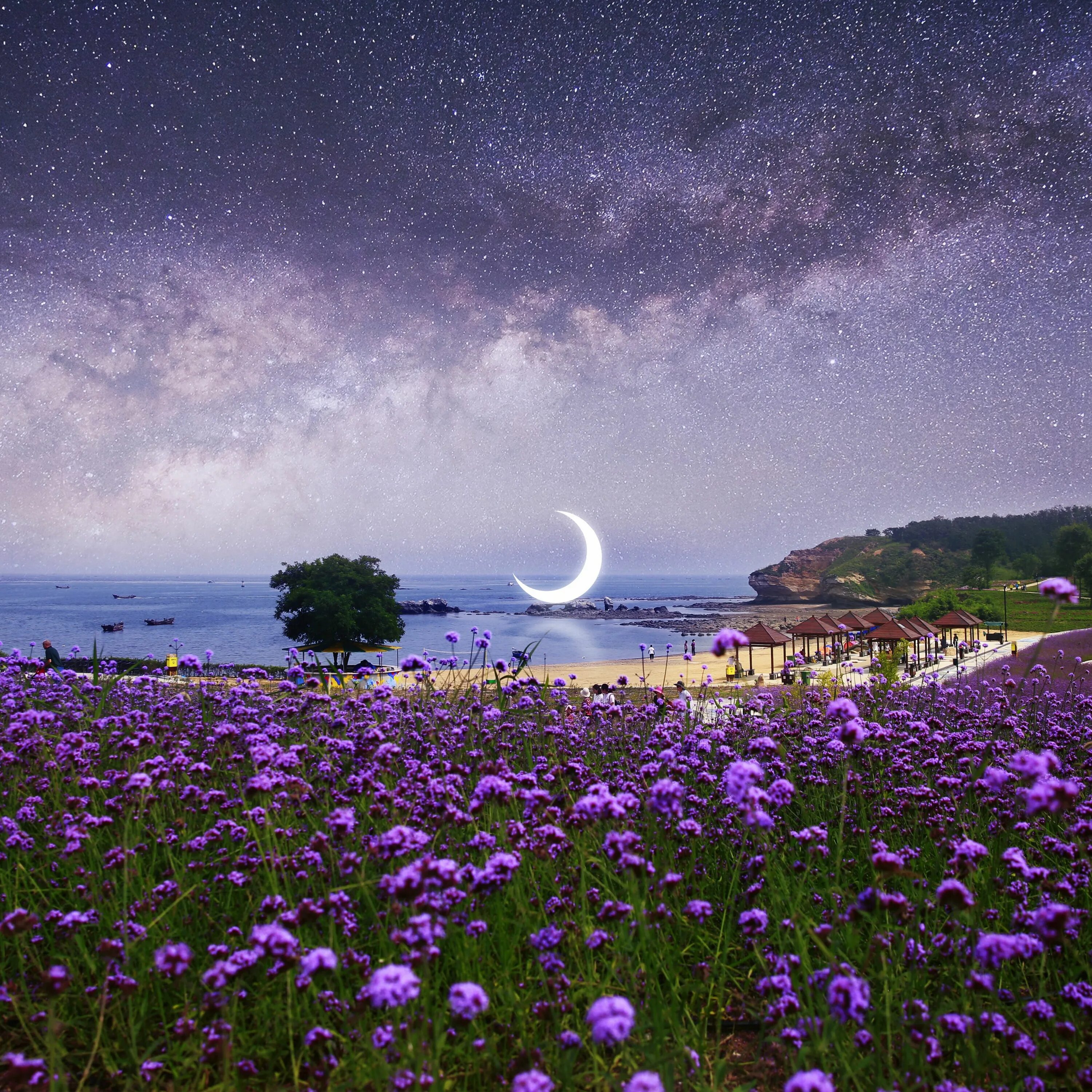 Почему цветочной луны. Красивая летняя ночь. Фиолетовая ночь. Ночное небо. Лето ночь Луна.