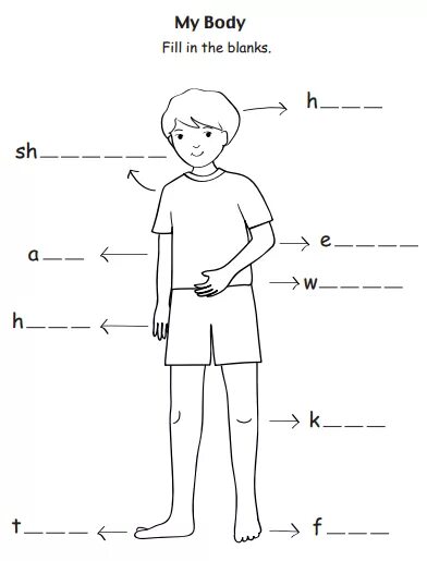 Английские песни части тела. Части тела на английском. Части тела на английском для детей. Части тела Worksheets. Части тела на английском задания.