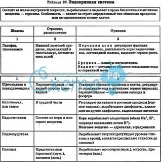 Таблица желез по биологии 8