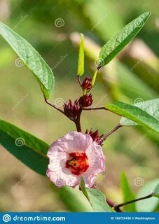 Zoom into our collection of high-resolution, stock photos, cartoons and vec...