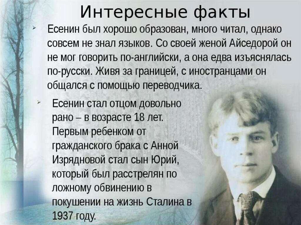 Чего достигает поэт используя высокую лексику. Сергея Александровича Есенина Родина. Биография Сергея Есенина интересные факты о жизни Есенина. Факты про Есенина 3 класс.