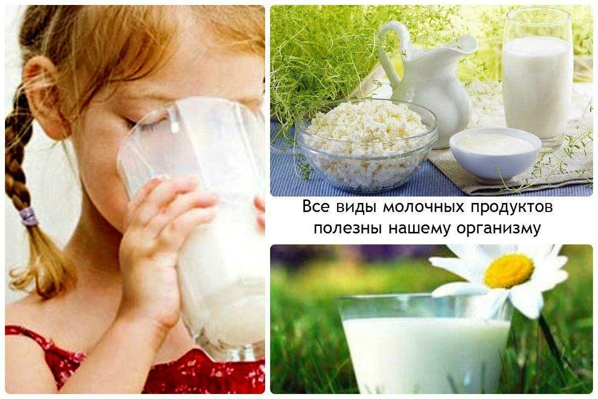 Полезно ли молоко детям. Полезное молоко. полезные продукты молоко. польза кисломолочных продуктов. польза молочной продукции.