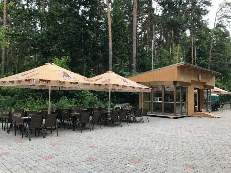 кафе лес красная поляна. Les olé ресторан. кафе лесной уют измайловский парк. багратион ресторан на ленинском. кафе в жуковском парке.