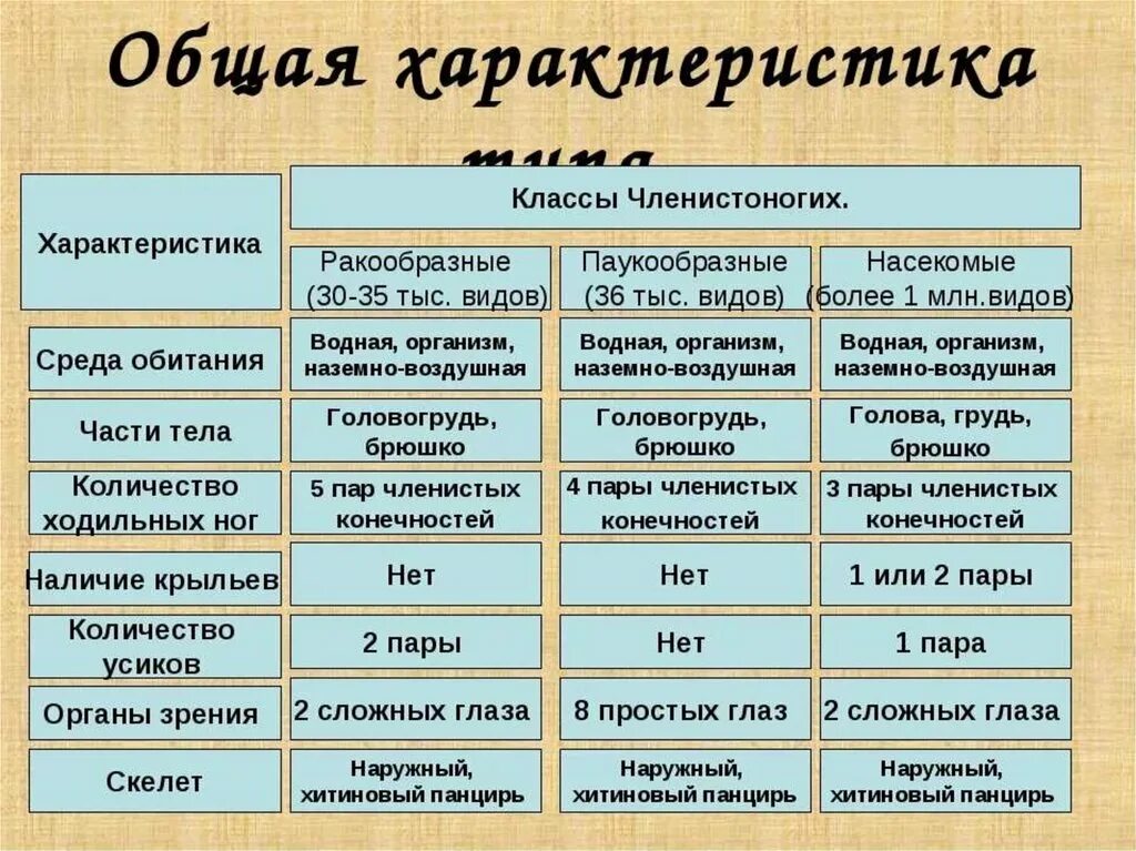 Покров ракообразных паукообразных насекомых. Членистоногие общая характеристика таблица. Характеристика класса членистоногих 7 класс. Тип Членистоногие общая характеристика таблица. Характеристика типа членистоногих таблица.