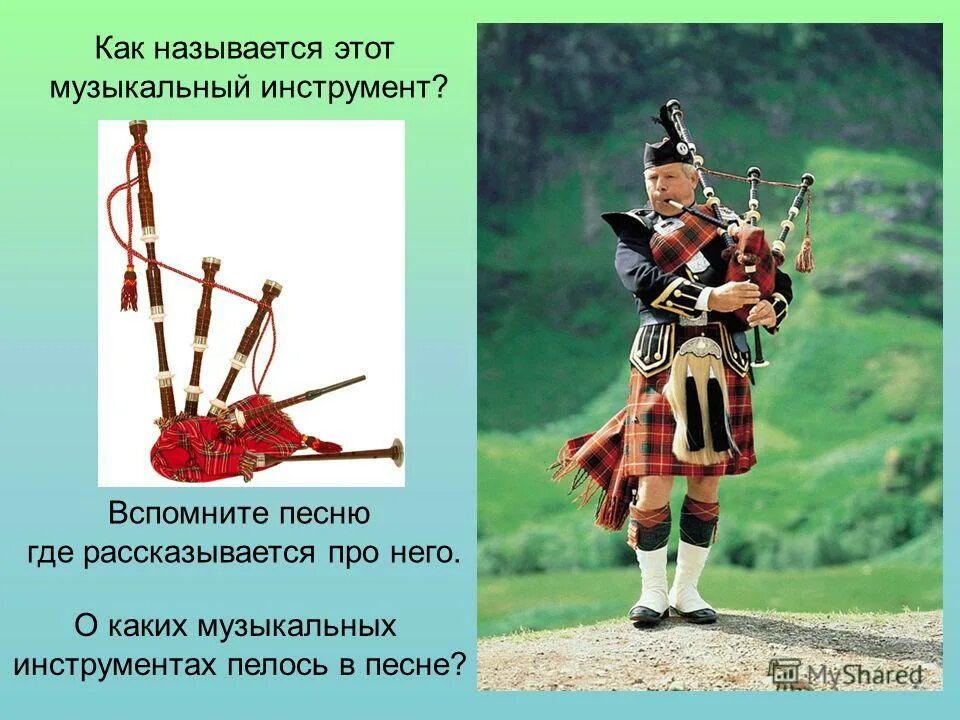 медвежонок паддингтон на экскурсии. в тексте-повествовании события. текст описание. где рассказывается про. найди в рассказе ошибки о животных.