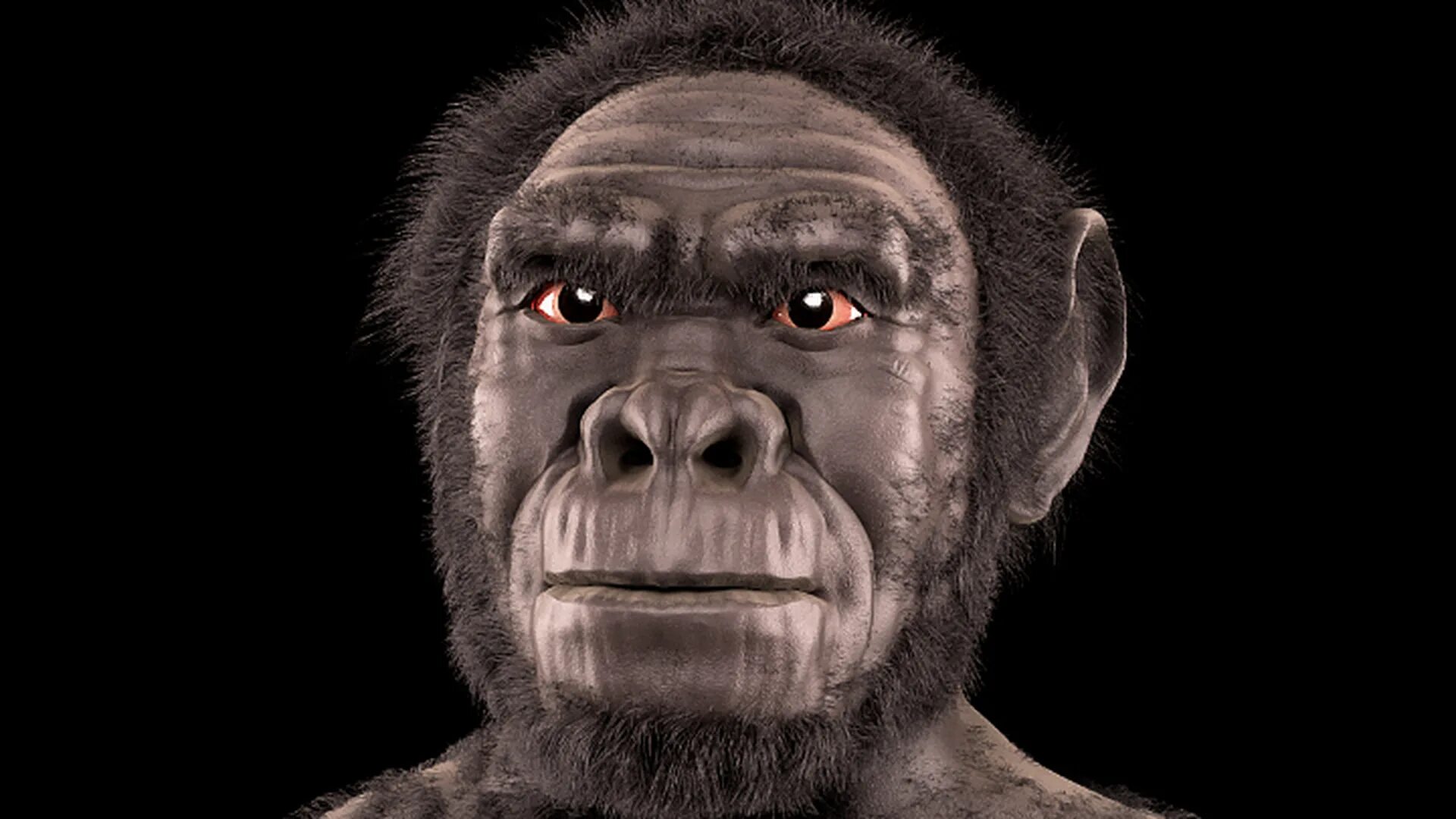 Человек флоресский хоббит. Хомо хабилис (умелый). Человек разумный (homo sapiens) внешность. Хомо хабилис австралопитек. Дманисийский гоминоид.