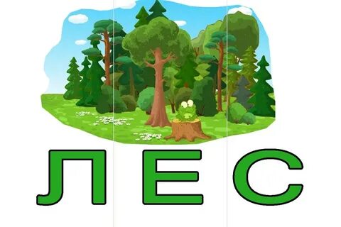 Слова в которых есть буквы лес