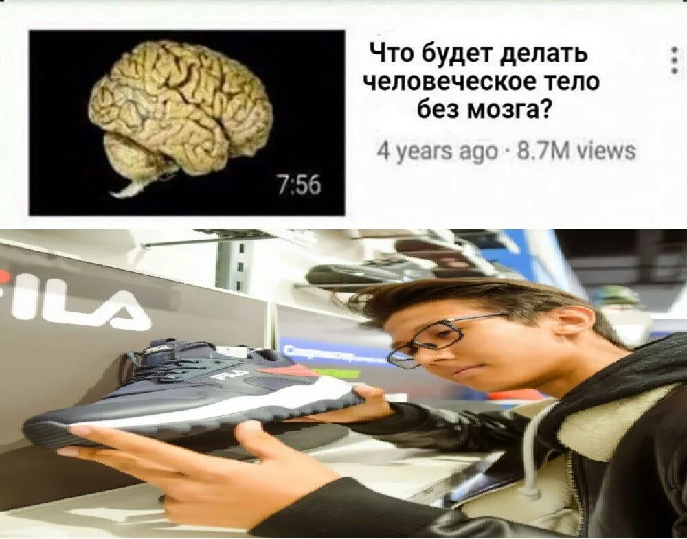 Тело без мозга