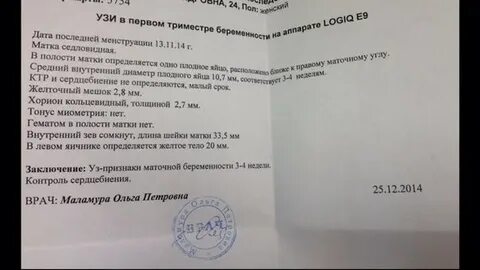 Первое узи подтверждение беременности