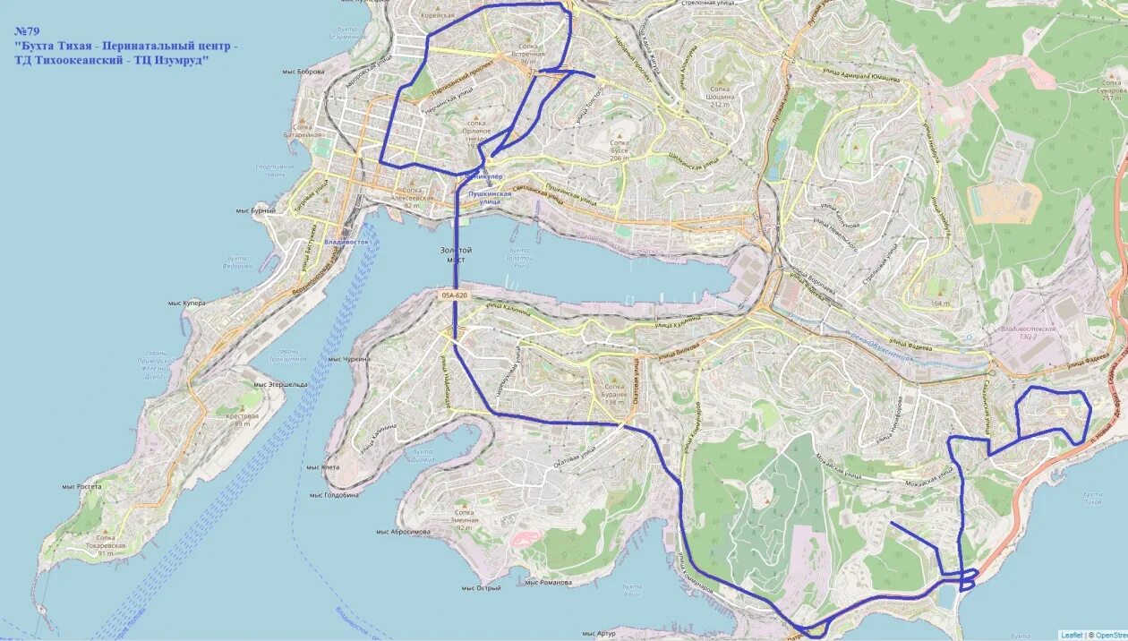 Маршрут 79 владивосток. Бухта Тихая Владивосток на карте. Мыс Чуркин Владивосток на карте. Схема общественного транспорта Владивостока. Район бухты тихой Владивосток.