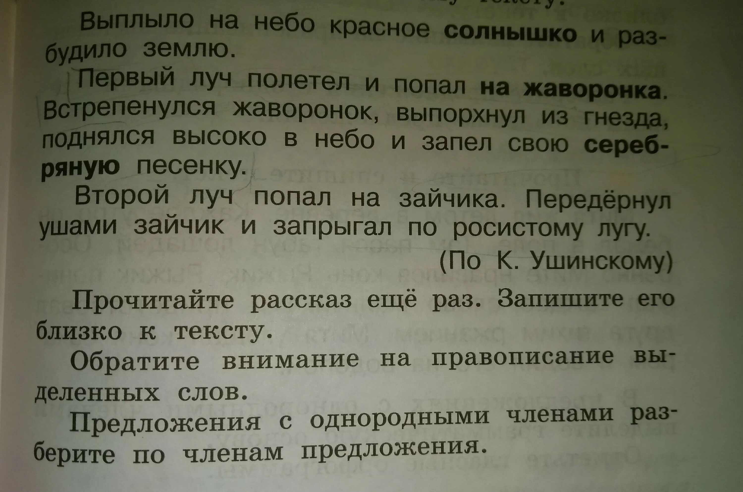 Выплыло на небо красное солнышко. Рассказ выплыло на небо красное солнышко. Жаворонок трепещет над рожью. Выплыло на небо красное солнышко и стало рассылать. Первый луч полетел и попал