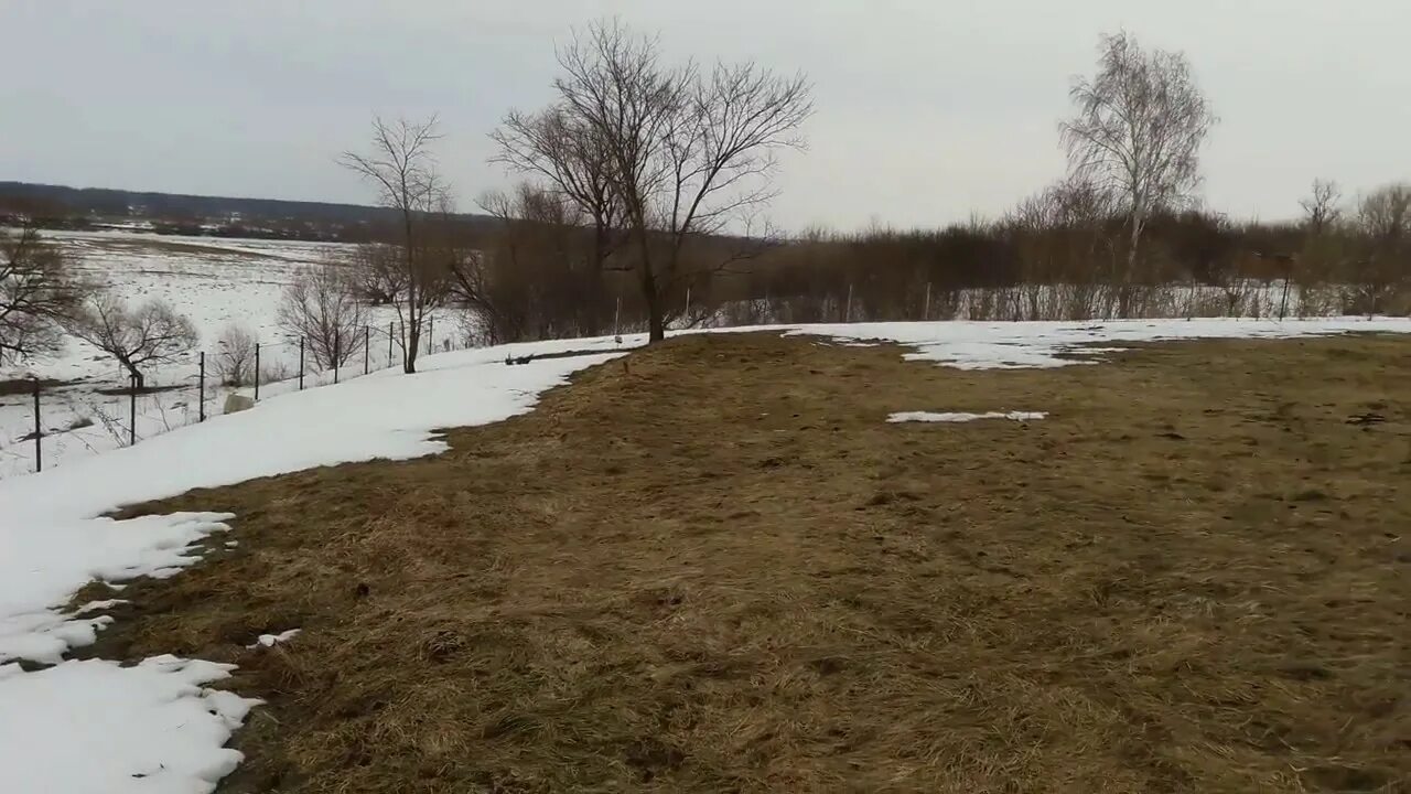 Какой уровень реки оки. Ока шиловский район уровень воды. уровень+реки+оки+в+касимове. уровень оки в рязанской области. разлив реки ока в шиловском районе.