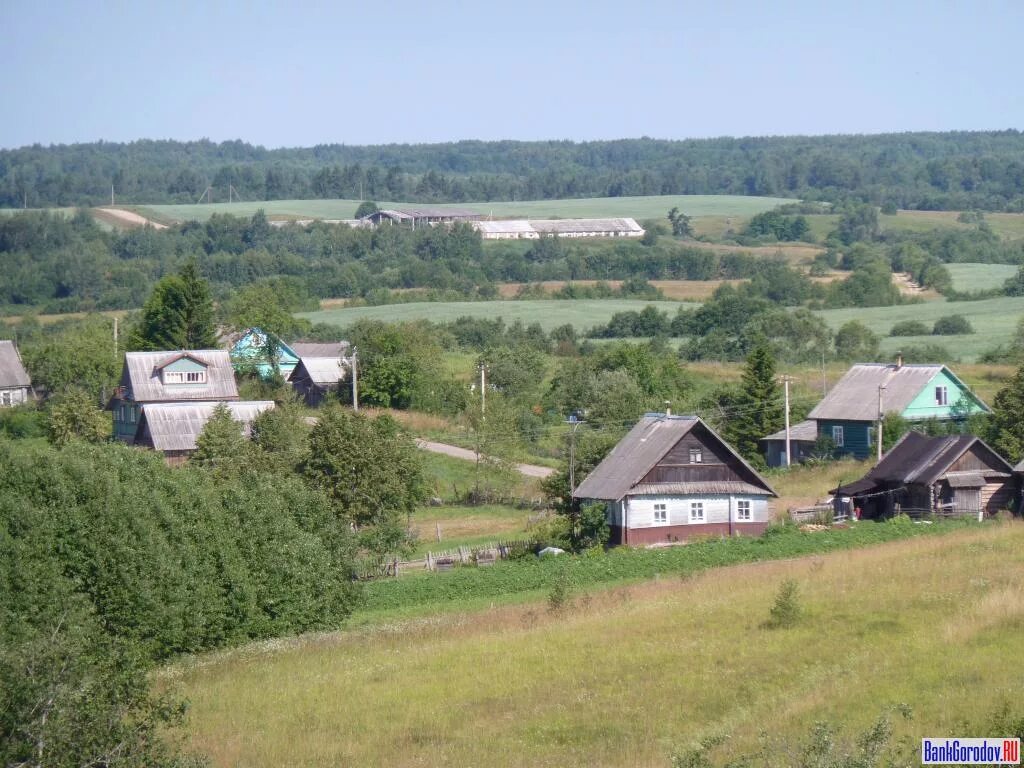 Между деревней. Псковская область деревня Работино. Вид на деревню с холма. Вид деревни с пригорка. Деревня на Холме.