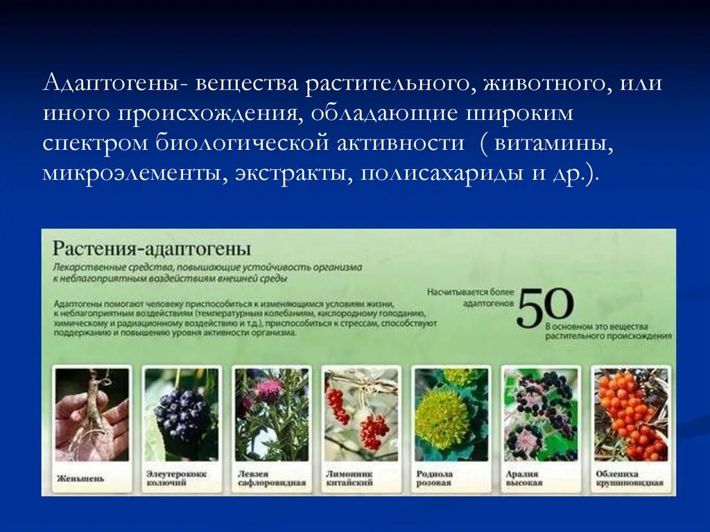 Препараты природного происхождения. Адаптогены препараты. Растения адаптогены. Растительные адаптогены препараты. Адаптогены растительного и животного происхождения.