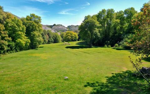 Поляна картинки - hdmulty.ru 